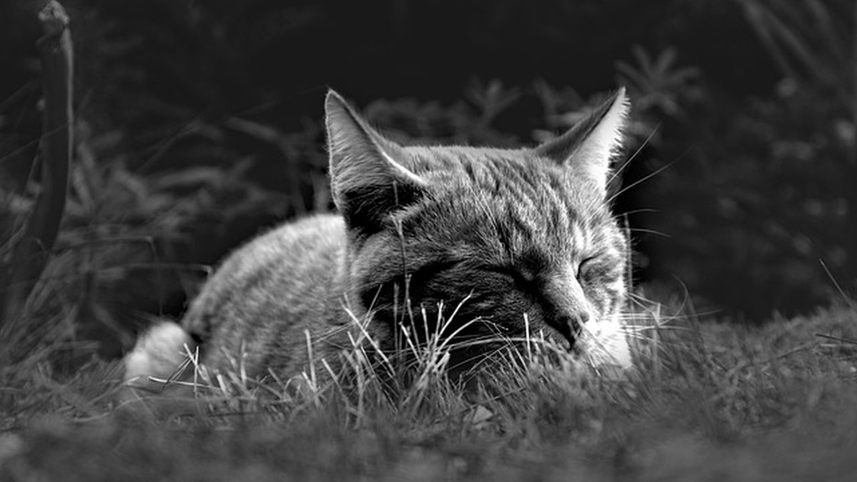 Evening wind-down routines for better sleep: 45-minute plan